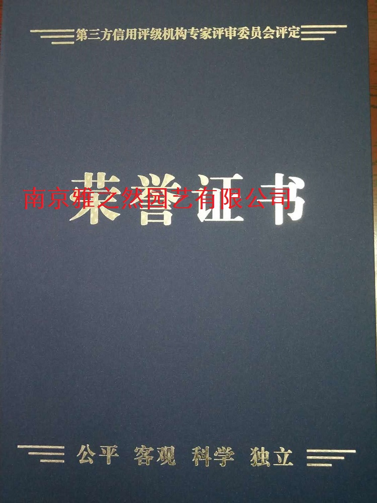 榮譽資質